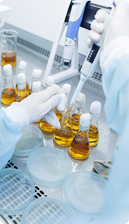 RACTHERA's Core Principles Image01