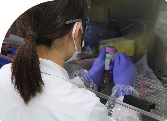 From Japan to Global