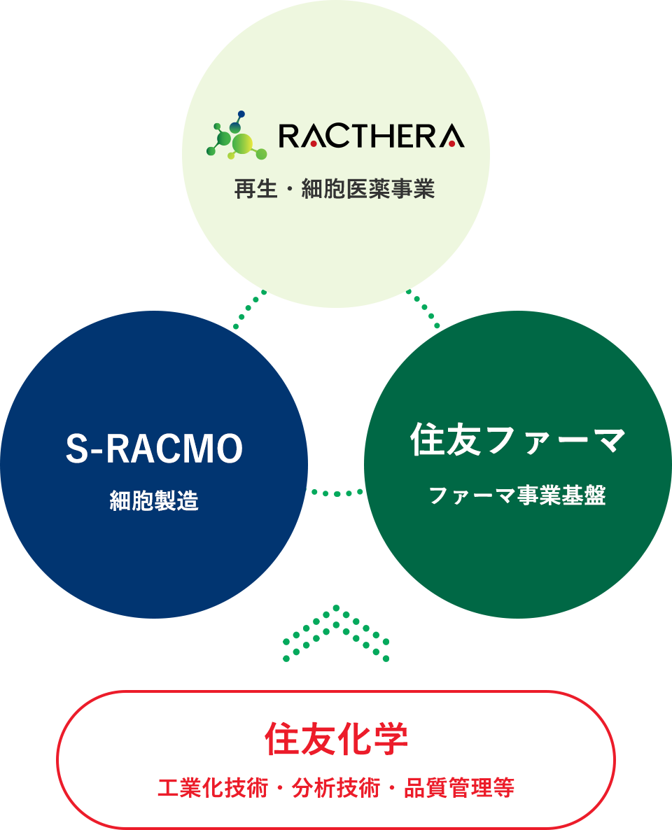 ラクセラについて